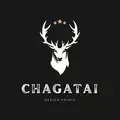 Chagatai Art