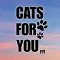 catsforyou