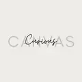 Curious Canvas