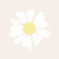 Trend Collection by Palmartprints