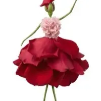The Floral Figure