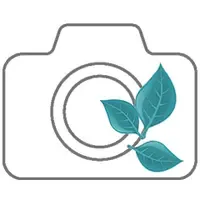 Karijn fotografie - natuur fotografie