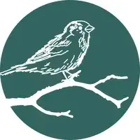 baumspatz grafikdesign