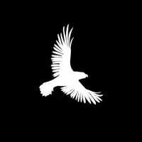 Happy Eagle