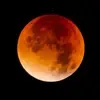 Velvet Moon