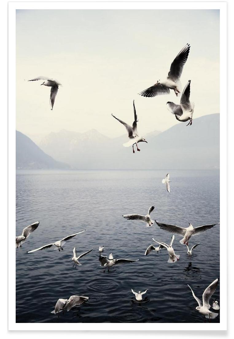 Seagulls - Premium Poster Portrait