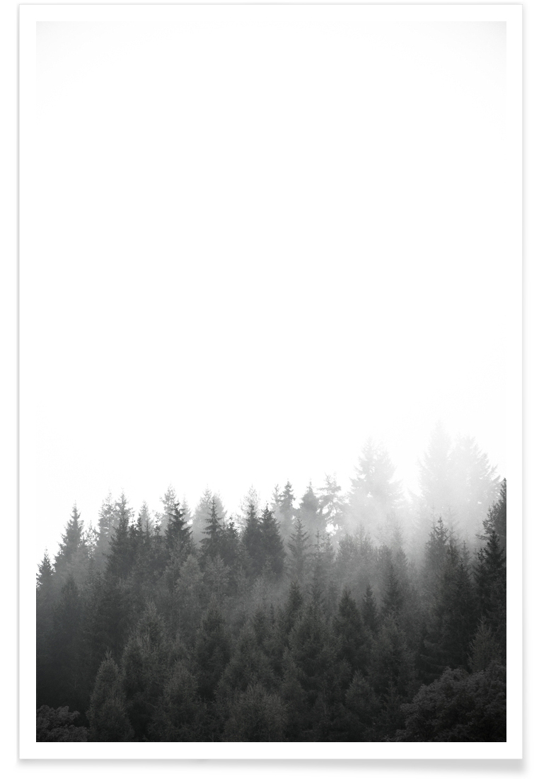 Walk Through The Forest - Premium Poster Portrait