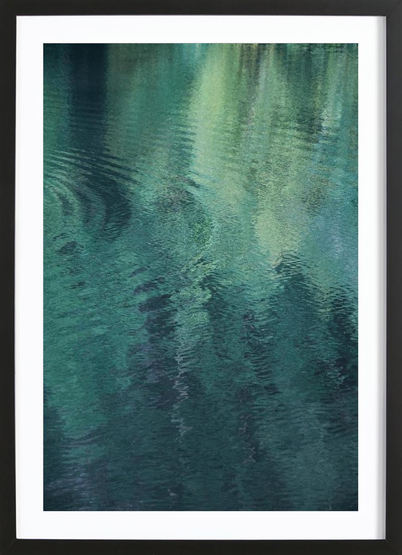 Forest In The Lake - Framed Premium Poster Portrait